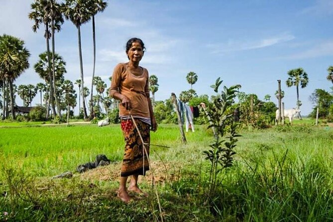 Village Life Tour from Siem Reap - Leaving Siem Reap for the countryside