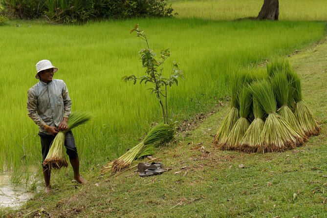 Village Life Tour from Siem Reap - Basket weaving, rice wine, and the value of work