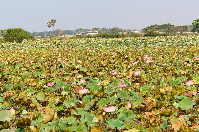 War Museum, Killing Field and Floating village ( Chong Kneas) Tour - What to wear and bring for a six to seven-hour day